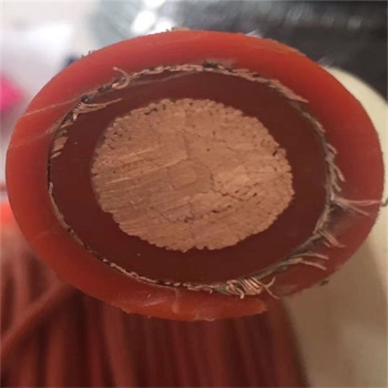 Silicone Rubber/Cu Wire Shielded/High Temperature/Frequency Convertible/Electric Power Cable