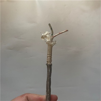 Stainless Steel Shield PTFE tape+Fiberglass&coating High temperature cable